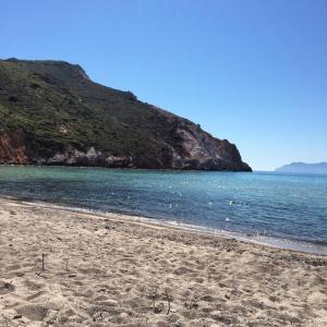 11128610_995019287175994_638551918_n