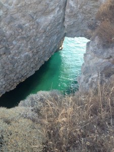 10334385_10152190739282026_8381910201857580263_n