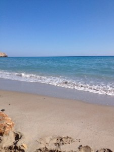 10430446_10152190858557026_68409268844533756_n