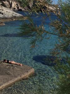 11198609_994456977232225_1216261855_n