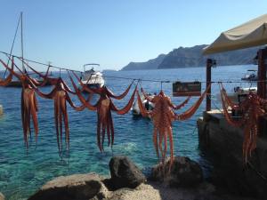 11938155_10153007560592026_1042690022_n