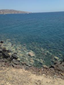 11994418_10153007578767026_1763252888_n