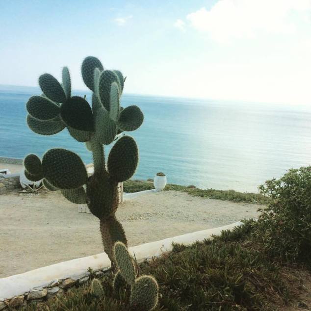 14344333_10153749173492026_5037296721391525812_n