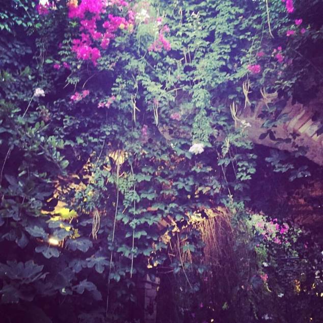 14449919_10153769038662026_5913526051471950462_n